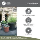 the-hc-companie_4